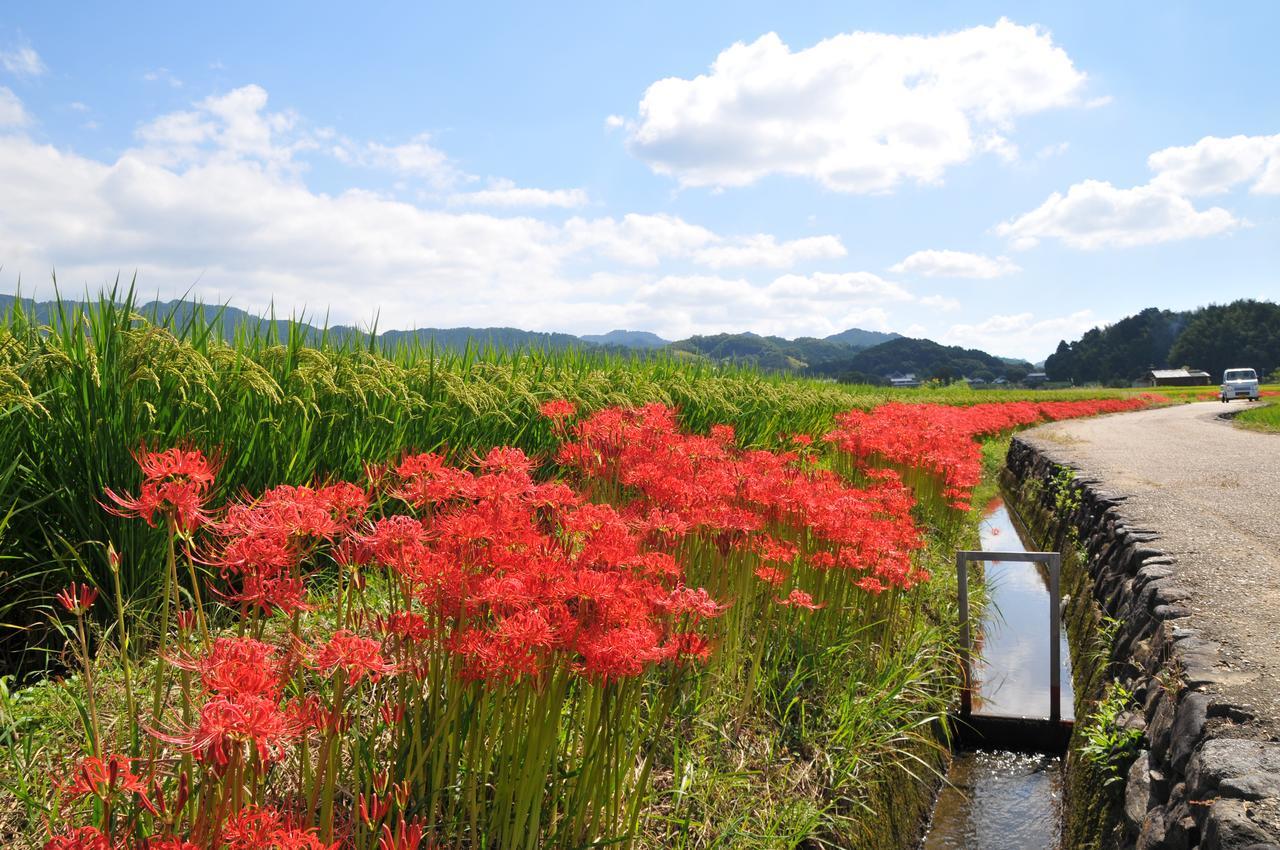 Asuka Guest House エクステリア 写真