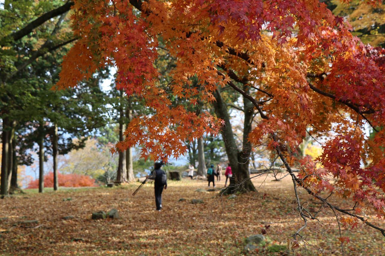 Asuka Guest House エクステリア 写真